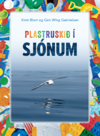 Plastruskið í sjónum - Image 1