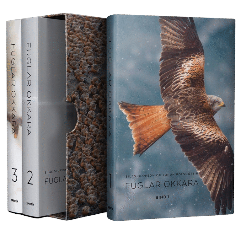 Fuglar okkara