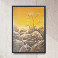 Steina plakat - Image 1