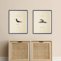 Bird poster, A5