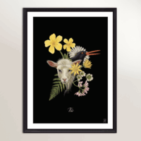 Livet og døden snak