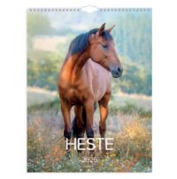 Veggjakalendari - Hestar 2026