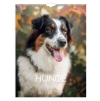 Veggjakalendari - Hundar 2026