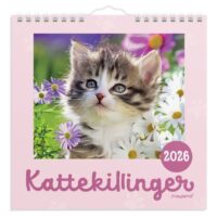 Lítil veggjakalendari kettlingar 2025