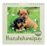 Lítil veggjakalendari hundahvølpar 2026