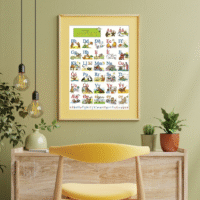Learn the alphabet poster - Image 2