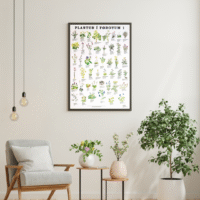 Í Føroyum - plakat - Image 2