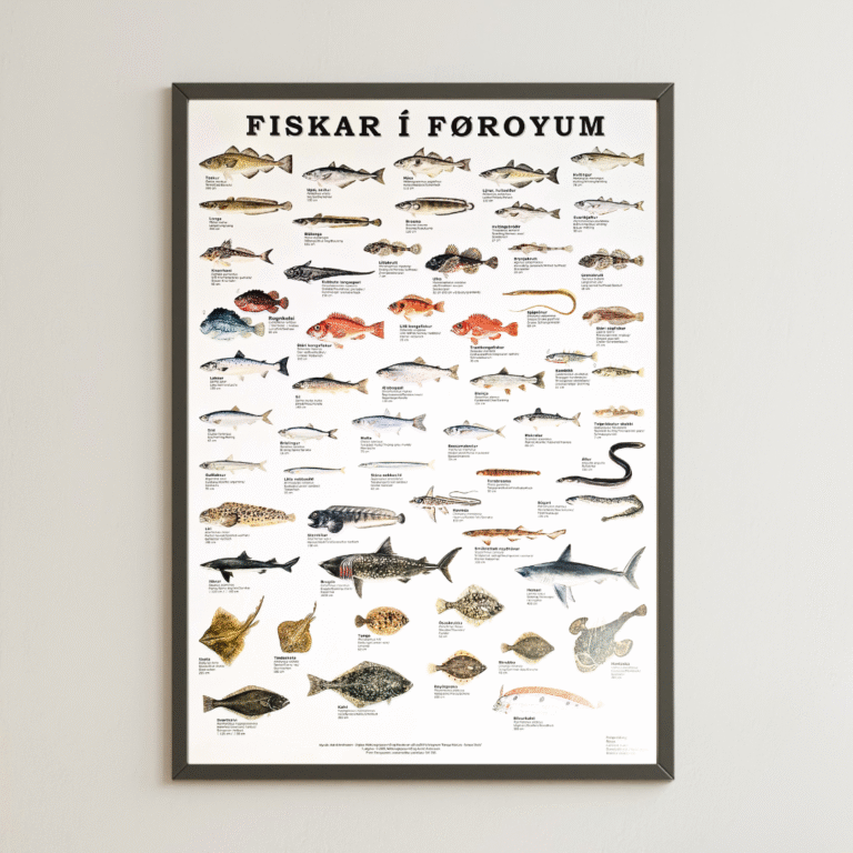 Í Føroyum - plakat