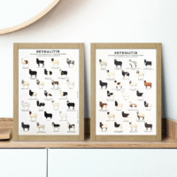 Seyðalitir Plakat - Image 3