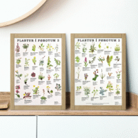 Í Føroyum - plakat - Image 3