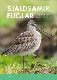 Sjáldsamir fuglar í Føroyum
